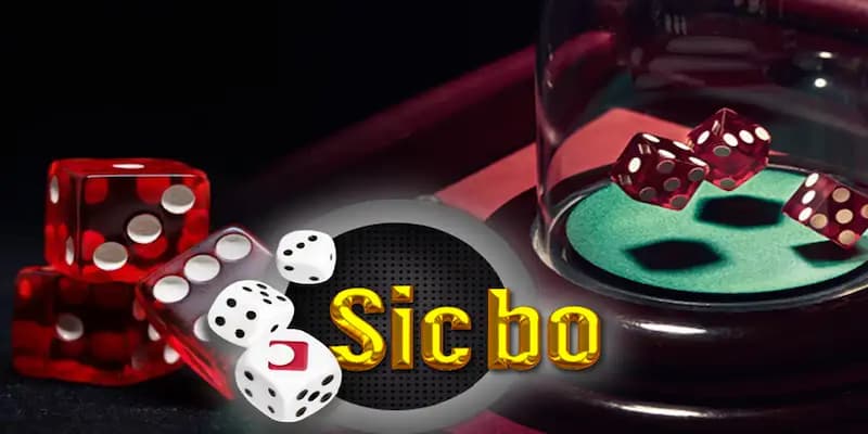 Tài xỉu Sicbo Tài xỉu Sicbo mẹo chơi hiệu quả